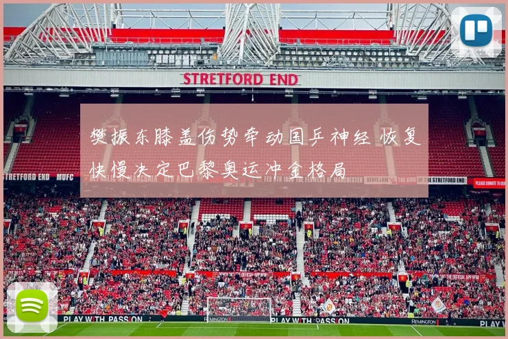 樊振东膝盖伤势牵动国乒神经 恢复快慢决定巴黎奥运冲金格局