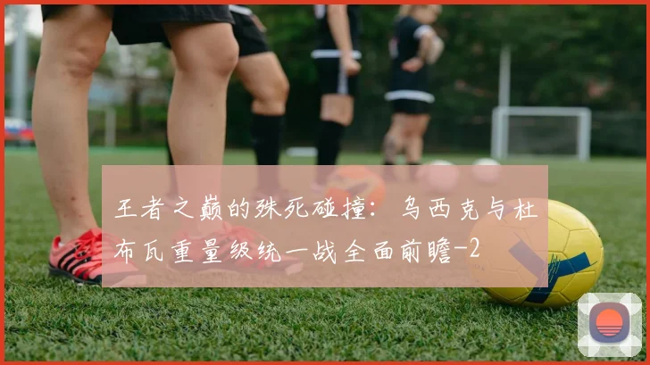王者之巅的殊死碰撞:乌西克与杜布瓦重量级统一战全面前瞻