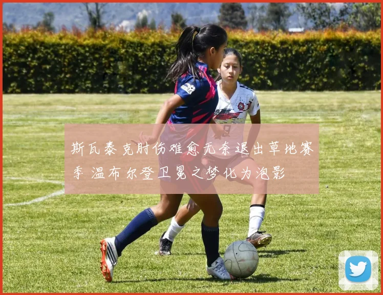 斯瓦泰克肘伤难愈无奈退出草地赛季 温布尔登卫冕之梦化为泡影