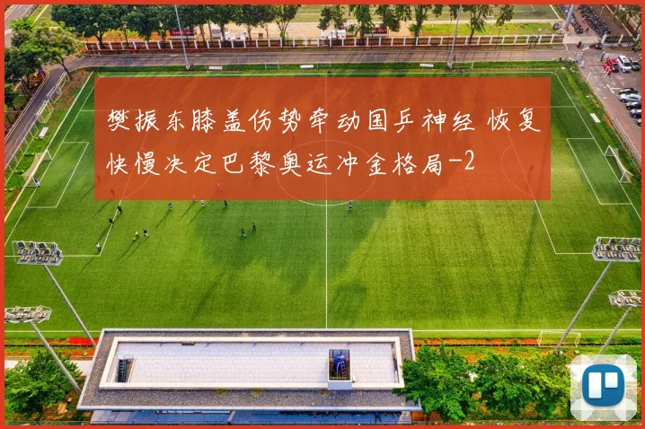 樊振东膝盖伤势牵动国乒神经 恢复快慢决定巴黎奥运冲金格局